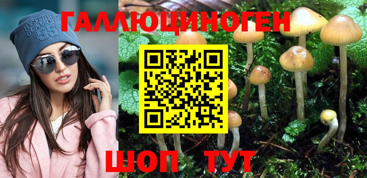 Галлюциногенные грибы прущие грибы Лесосибирск