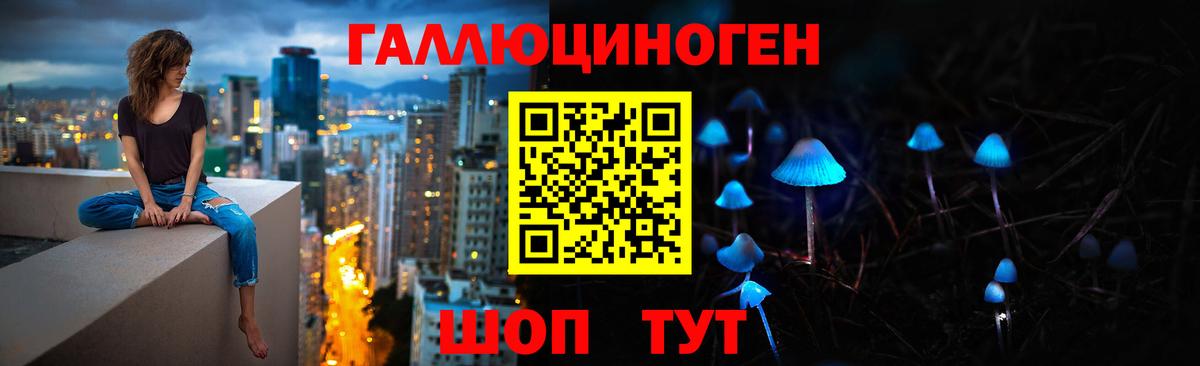 Псилоцибиновые грибы GOLDEN TEACHER  Галлюциногенные грибы Psilocybe  Лесосибирск  Вход с VPN 
